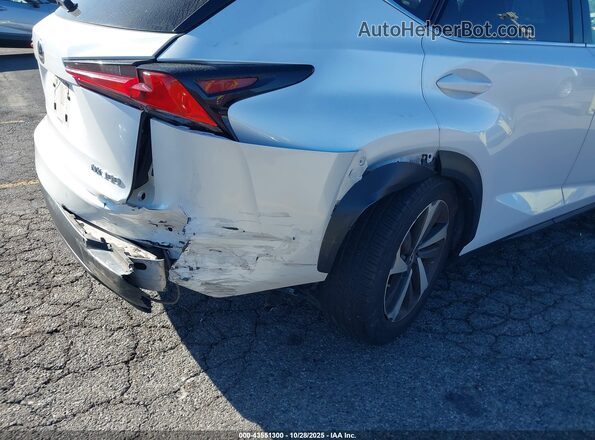 JTJGARBZ5M5030502 2021 LEXUS NX 300 Белый Вид спереди
