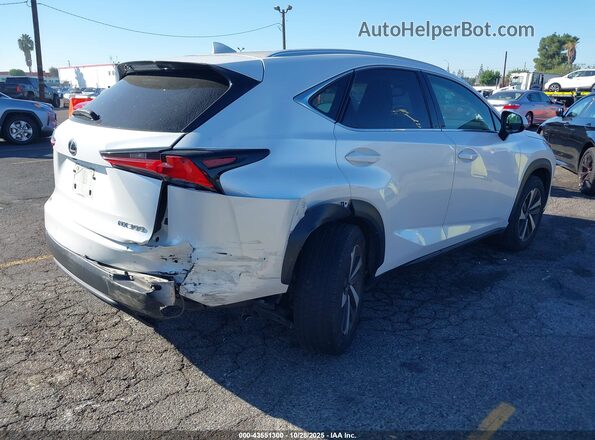JTJGARBZ5M5030502 2021 LEXUS NX 300 Белый Задняя правая четверть