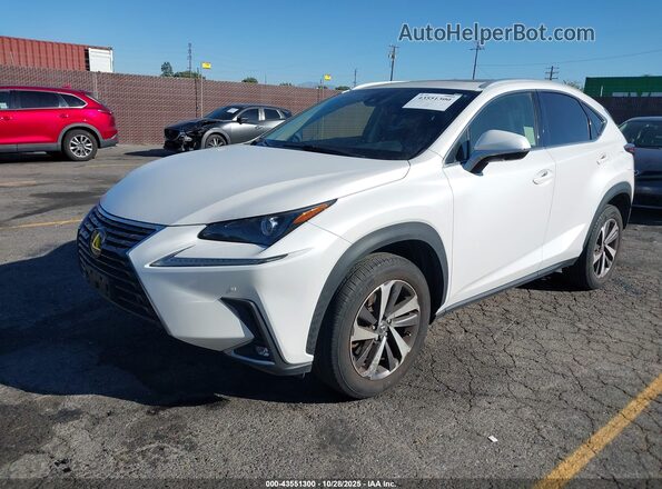 JTJGARBZ5M5030502 2021 LEXUS NX 300 Белый Передняя левая четверть