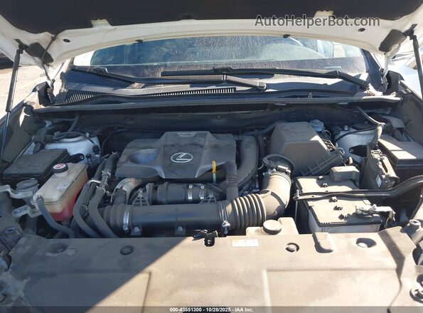 JTJGARBZ5M5030502 2021 LEXUS NX 300 Белый Вид сзади