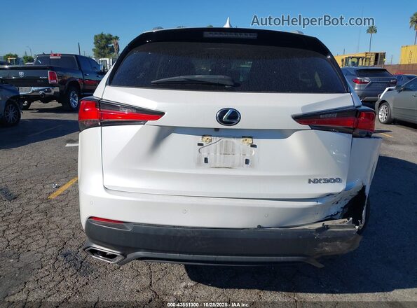 JTJGARBZ5M5030502 2021 LEXUS NX 300 Белый 