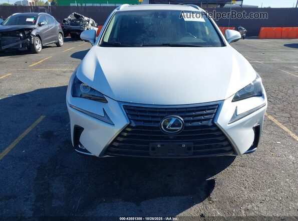 JTJGARBZ5M5030502 2021 LEXUS NX 300 Белый Вид щитка приборов