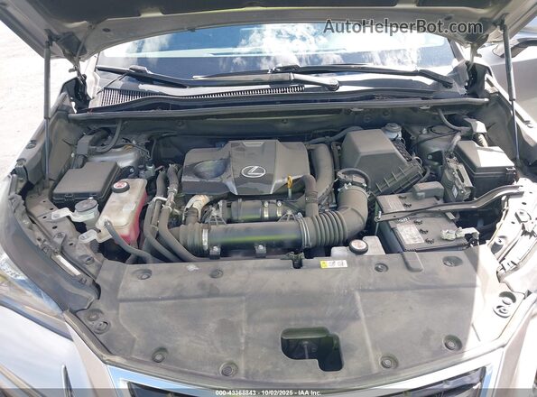 JTJGARBZXM2180431 2021 LEXUS NX 300 Серый Вид сзади