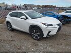 2021 Lexus Nx 300   Белый vin: JTJGARDZ4M5023456