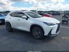 2025 Lexus Nx 250 Premium White vin: JTJGDCAZ0S2015569