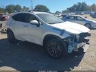2025 Lexus Nx 250 Premium White vin: JTJGDCAZ6S5024212