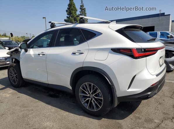 JTJGKCEZ2S2046483 2025 LEXUS NX White Rear left