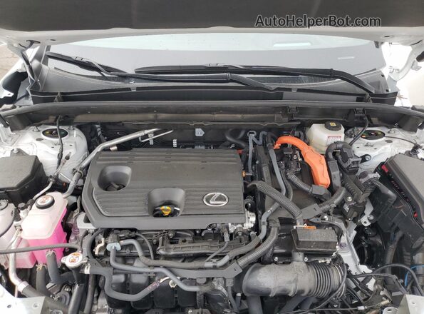 JTJGKCEZ2S2046483 2025 LEXUS NX White Engine compartment view