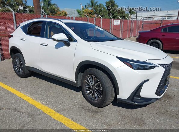 JTJGKCEZ3R5017941 2024 LEXUS NX 350H White წინა მარჯვენა