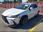 2024 Lexus Nx 350h Premium White vin: JTJGKCEZ3R5017941