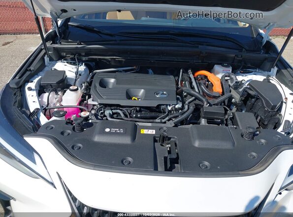 JTJGKCEZ3R5017941 2024 LEXUS NX 350H White უკანა ხედი