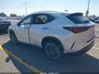 2024 Lexus Nx 350h Premium White vin: JTJGKCEZ3R5017941