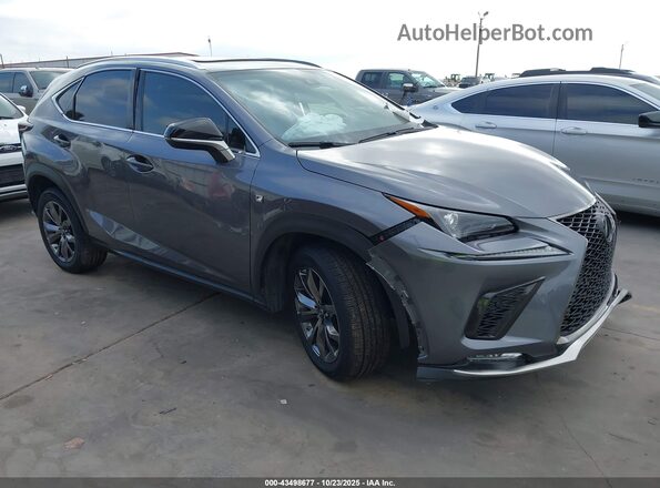JTJSARBZ2L2170372 2020 LEXUS NX 300 Gray Առջևի աջ
