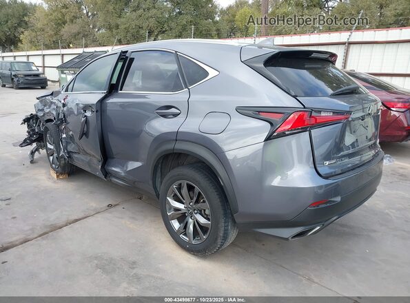 JTJSARBZ2L2170372 2020 LEXUS NX 300 Gray Հետևի ձախ