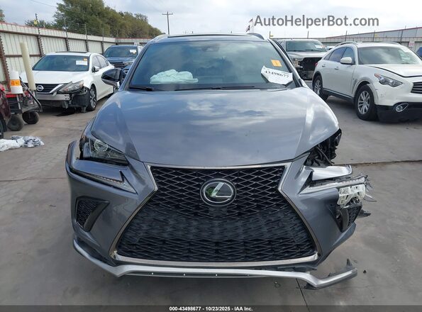 JTJSARBZ2L2170372 2020 LEXUS NX 300 Gray Սալոնի հետևի տեսք