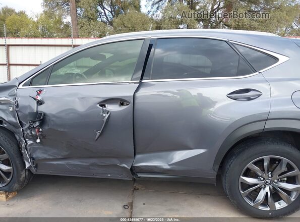 JTJSARBZ2L2170372 2020 LEXUS NX 300 Gray 