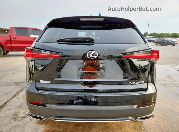 JTJSARBZ9M2195318 2021 LEXUS NX Black Հետևի տեսք