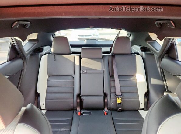 JTJSARBZ9M2195318 2021 LEXUS NX Black Հետևի նստատեղերի տեսք