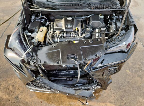 JTJSARBZ9M2195318 2021 LEXUS NX Black Շարժիչի բաժամունքի տեսք