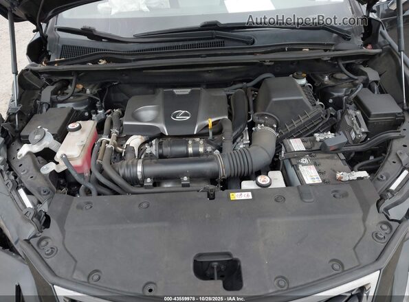 JTJSARDZ2M2238555 2021 LEXUS NX 300 Black Widok z tyłu