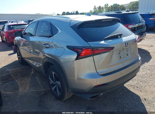 JTJYARBZ2J2112673 2018 LEXUS NX 300 Серый Задняя левая четверть