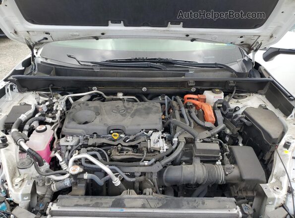 JTMAB3FV8MD050792 2021 TOYOTA RAV4 White Շարժիչի բաժամունքի տեսք