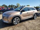 2020 Hyundai Nexo Limited Tan vin: KM8J84A66LU008510