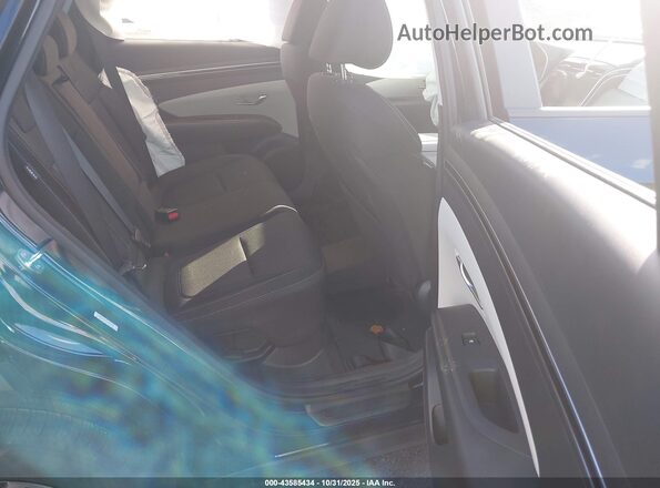 KM8JBCD14RU229446 2024 HYUNDAI TUCSON HYBRID Синий Вид наклейки с VIN-кодом