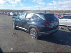 2024 Hyundai Tucson Hybrid Blue Синий vin: KM8JBCD14RU229446