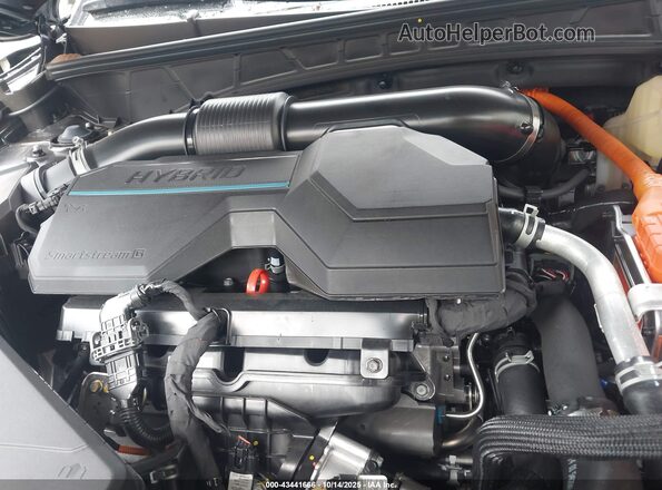 KM8JCDD11SU379376 2025 HYUNDAI TUCSON HYBRID Синий Вид сзади
