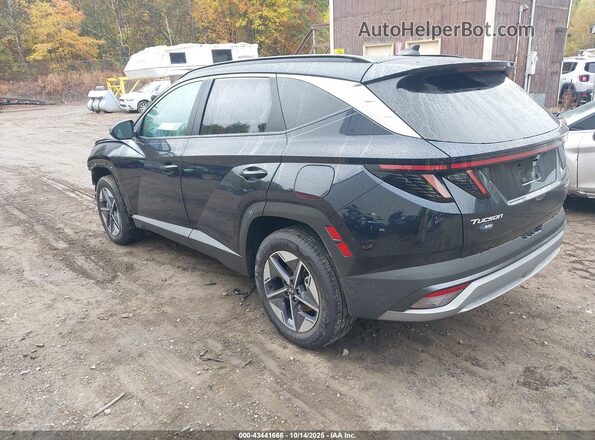 KM8JCDD11SU379376 2025 HYUNDAI TUCSON HYBRID Синий Задняя левая четверть