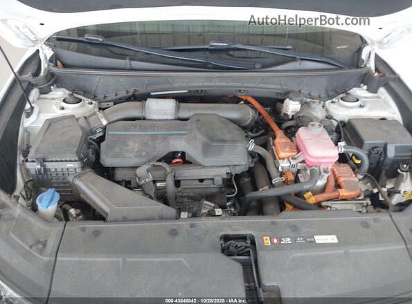 KM8JFCA11NU026663 2022 HYUNDAI TUCSON HYBRID White Widok z tyłu