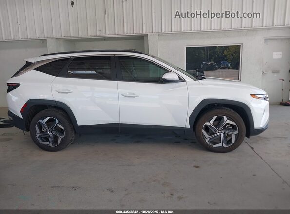 KM8JFCA11NU026663 2022 HYUNDAI TUCSON HYBRID White Widok wnętrza z tyłu