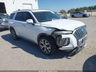 2020 Hyundai Palisade Sel White vin: KM8R34HEXLU057093