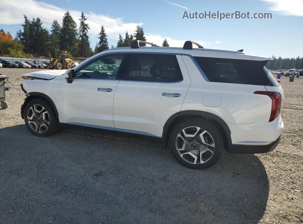 KM8R4DGE5PU492284 2023 HYUNDAI PALISADE Белый Задняя левая четверть