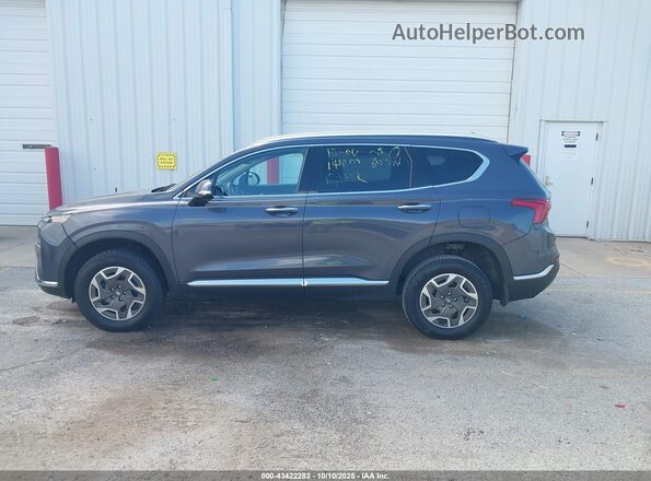 KM8S2DA14MU005844 2021 HYUNDAI SANTA FE HYBRID BLUE Gray 