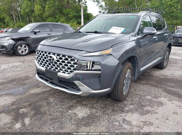 KM8S2DA14MU005973 2021 HYUNDAI SANTA FE HYBRID BLUE Gray Դիմացի տեսք