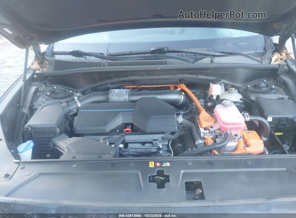 KM8S2DA14MU008758 2021 HYUNDAI SANTA FE HYBRID BLUE Black უკანა ხედი