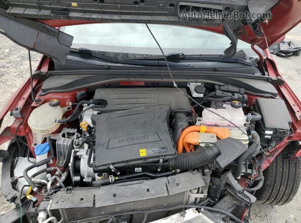 KMHC05LC9LU234369 2020 HYUNDAI IONIQ Красный Вид задней части салона