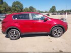 2022 Kia Sportage Lx Бордовый vin: KNDPMCAC8N7023957