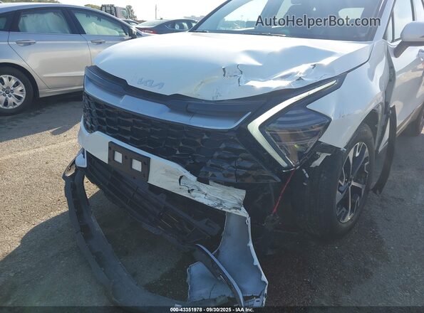 KNDPVCDG3S7243465 2025 KIA SPORTAGE HYBRID Белый Вид спереди