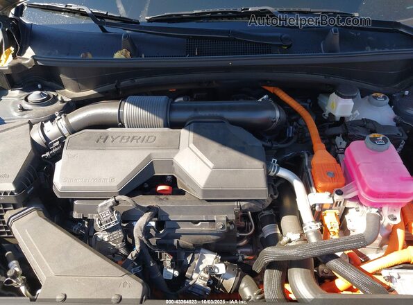 KNDPXCDG4S7209495 2025 KIA SPORTAGE HYBRID Gray Widok z tyłu