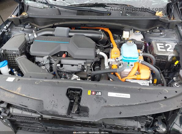 KNDPZDDH0R7173971 2024 KIA SPORTAGE PLUG-IN HYBRID Black Widok z tyłu
