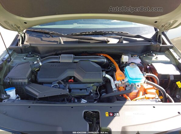 KNDPZDDH3S7237975 2025 KIA SPORTAGE PLUG-IN HYBRID Зеленый Вид сзади