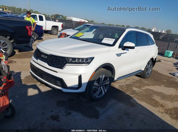 KNDRHDLG4P5188597 2023 KIA SORENTO HYBRID White Передня ліва чверть