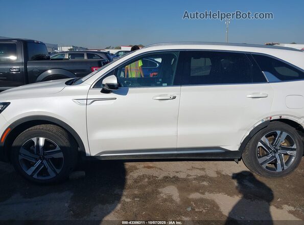 KNDRHDLG4P5188597 2023 KIA SORENTO HYBRID White Панорамний вид салону 360°