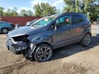 2020 Ford Ecosport Ses Gray vin: MAJ6S3JL9LC365302