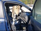 2020 Ford Transit Connect Xl Passenger Синий vin: NM0GS9E27L1446777