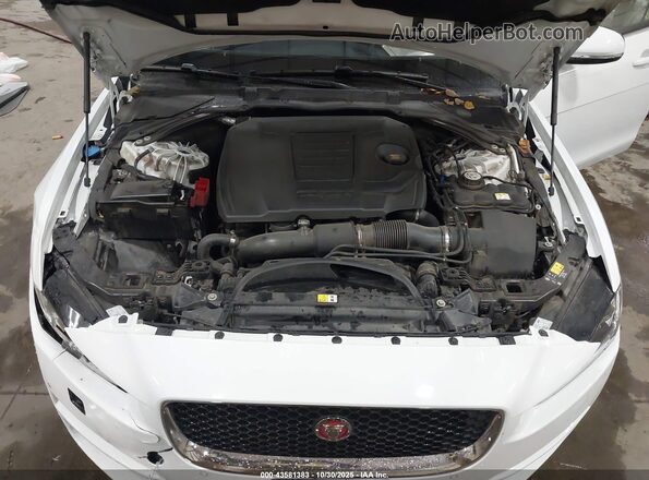 SAJAD4FX6KCP45164 2019 JAGUAR XF Белый Вид сзади