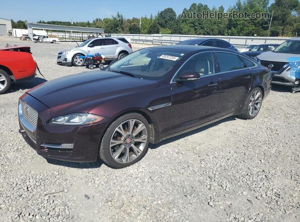 SAJWA2G77G8V97862 2016 JAGUAR XJL Brown Przód lewy